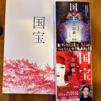 映画「国宝」凄かった