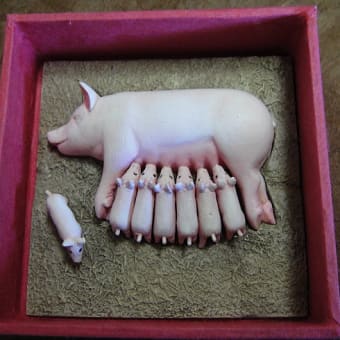 母豚と仔豚たち～授乳　（Pig mother and her babies - Breastfeeding）