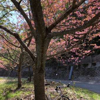 踏み出して見える景色 ③