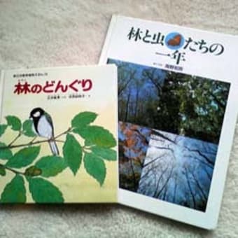 どんぐりの本 パート４