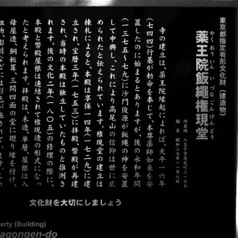 涼を求めて高尾山へ