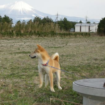 本日は晴天なり。