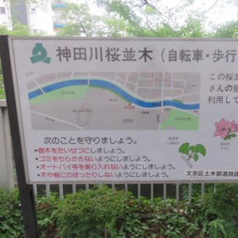2017年6月26日　月曜日　「椿山荘」蛍の夕べ