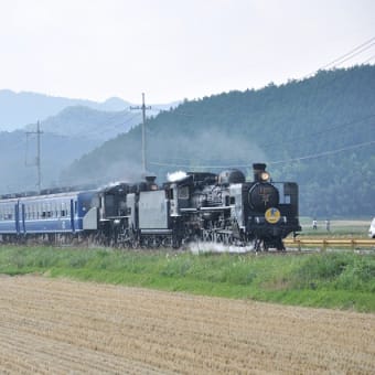 その１４