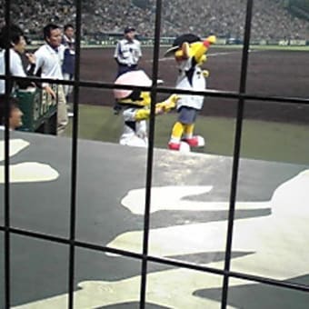 甲子園