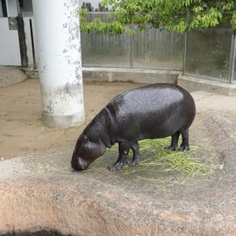 20250502　いしかわ動物園