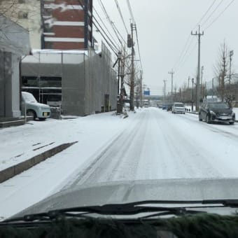 雪が降りました・・・・