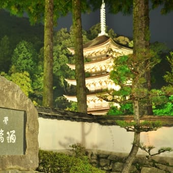 その２４