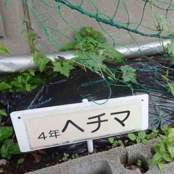 ぐんぐん成長しています！