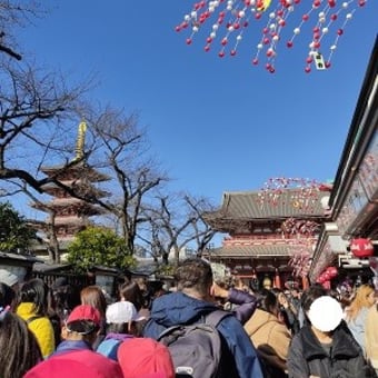 社会科見学で浅草へ