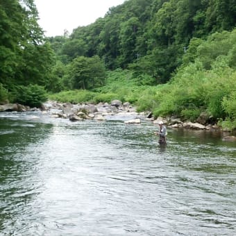 予想外の魚