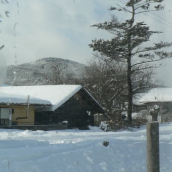 気仙沼から帰仙