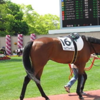 シルクフォーチュン圧勝で復帰2戦目で2勝目飾る