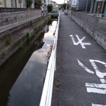 水深約２０ｃｍ