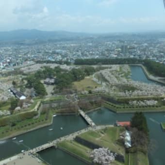 桜の五稜郭