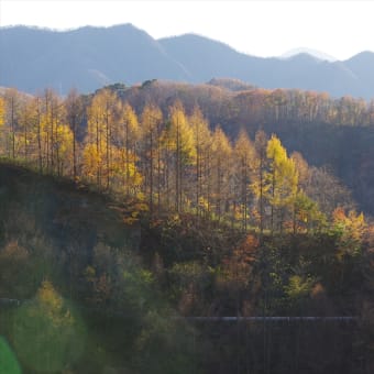 富士山の眺めはいいけど、北風に悩まされた小金沢連嶺と南大菩薩