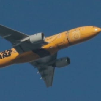 C-3PO塗装（ANA）