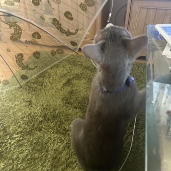 京都水族館