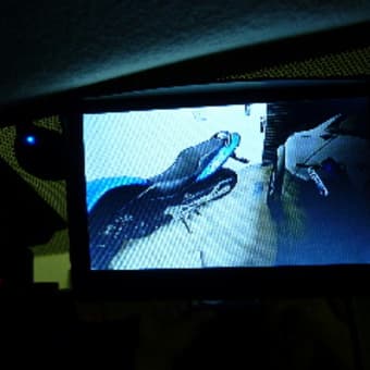 サイドカメラ
