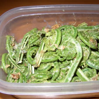 野菜高いですね…（〇_〇*）
