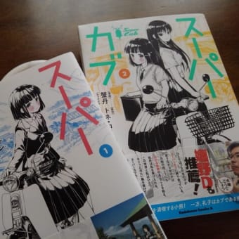 買っちゃいました　。。。