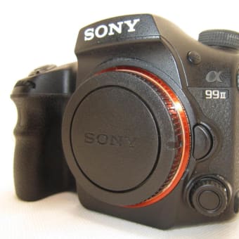 ソニーα65とα77・α99Ⅱ