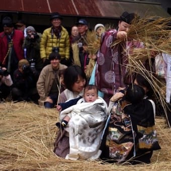 しびきせ祭り