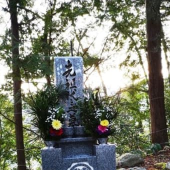 先祖の墓参りを今年から月に２回している。