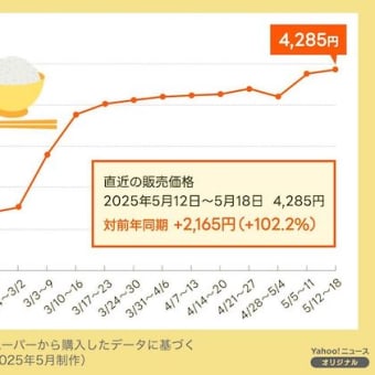 米価高騰による令和のコメ騒動の原因と需給と備蓄米の放出