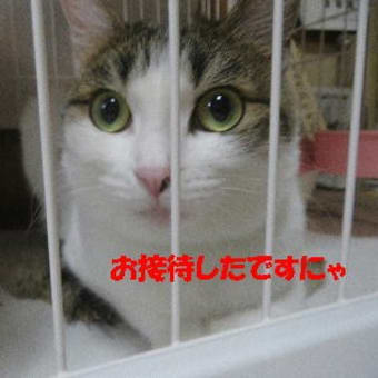 「お寺でJAZZ」満員御礼