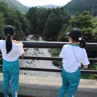 ５年生，川の見学に行ってきました。