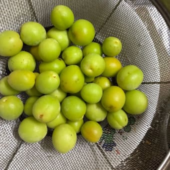 梅干し続き