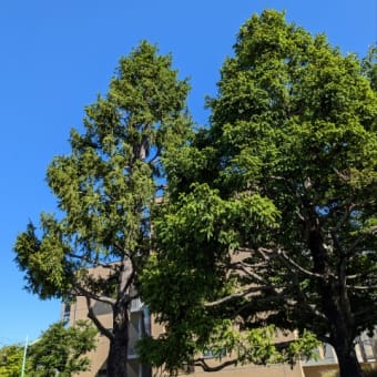 今日いち-2025年5月7日
