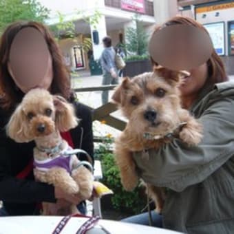 犬三昧♪