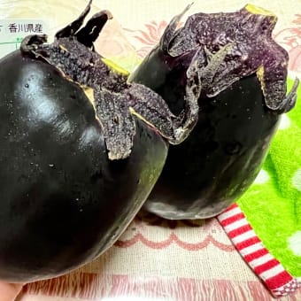 三豊ナスを頂いて