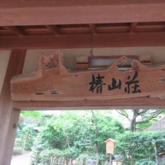 2017年6月26日　月曜日　「椿山荘」蛍の夕べ