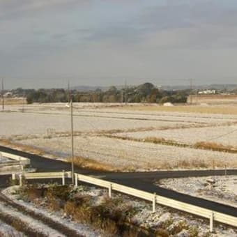 雪の朝