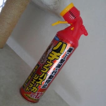 蜂の巣