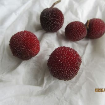 新しい「帽子」で、自然の中へ。