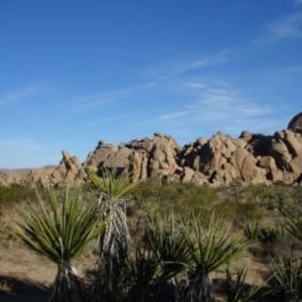 Joshua Tree National Park