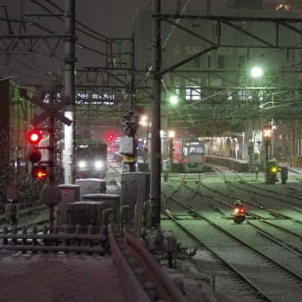 千葉で二年ぶりの積雪　2024年2月
