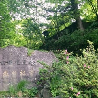 日光の思い出(ほぼ写真のみ)