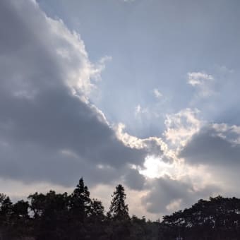 雨上がりのそら