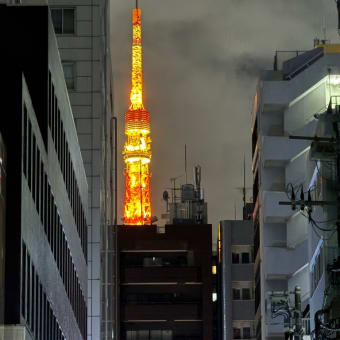 東京タワーの近くで焼肉