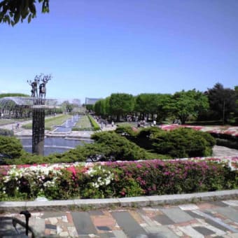 立川の昭和記念公園
