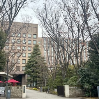 【早稲田】早稲田大学　大隈ガーデンハウスでランチ