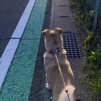 遷移宮が來因宮という生き方・・・忍者！？