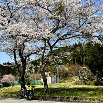 ふぉとしょっぷ　すげ〜