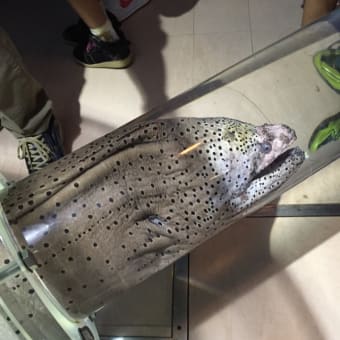 清水に日帰り旅