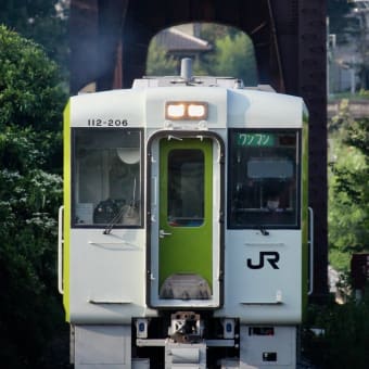 八高線(ぐんま車両センター)のキハ110系